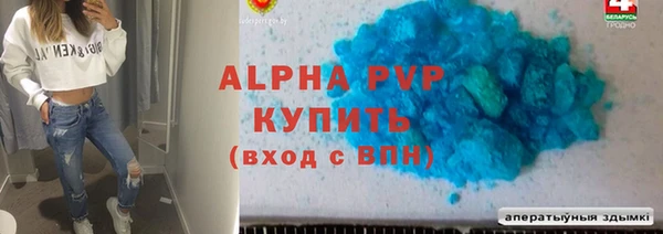 индика Семикаракорск