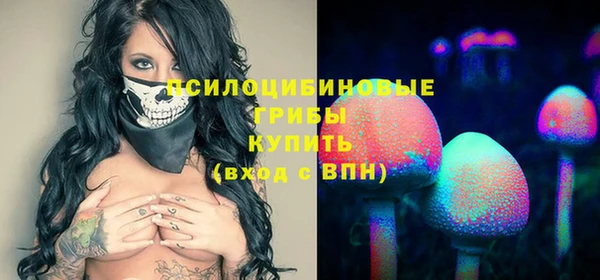 амф Бородино
