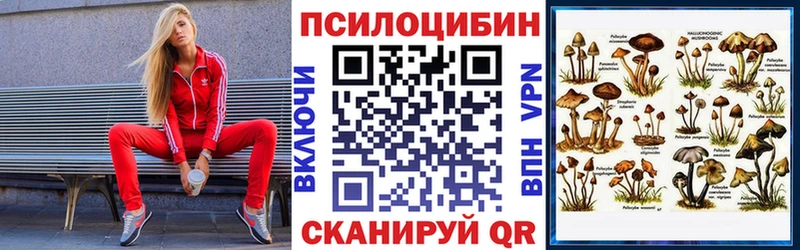 blacksprut как зайти  Кемерово  Галлюциногенные грибы Cubensis 