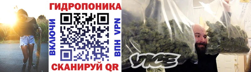 Бошки марихуана White Widow  Кемерово 